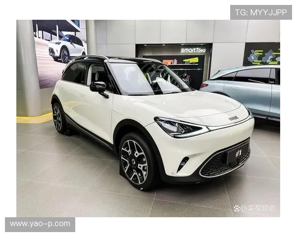 19万起的smart!但实际是吉利换壳?还值得买吗? 19万起的smart!但实际是吉利换壳?还值得买吗?