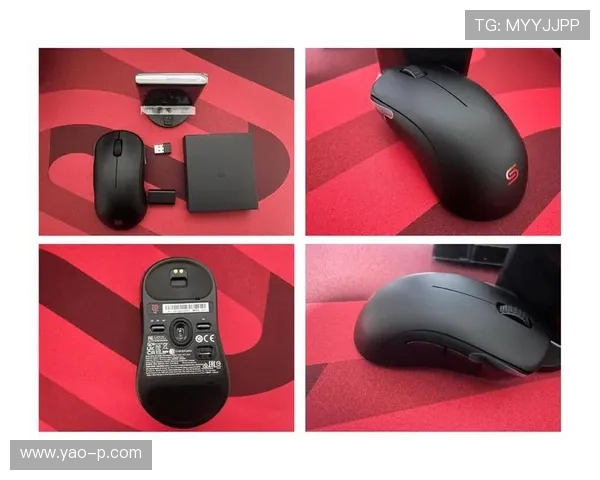 2000元买下卓威所有鼠标，这个坑替你跳了！哪个好用？